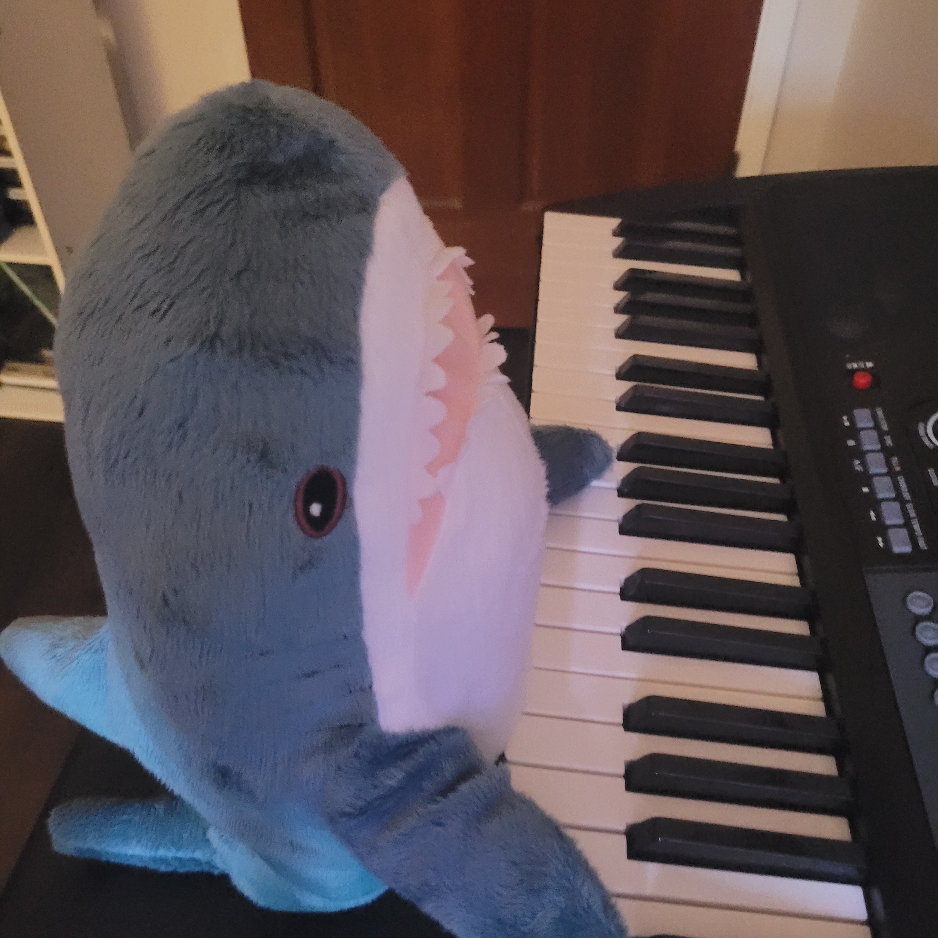 blue shark plushie, called blåhaj, sitting next to a keyboard piano